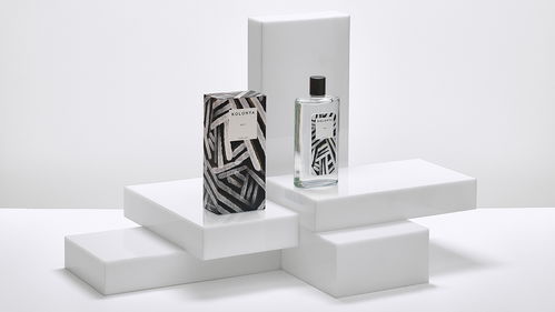 創(chuàng)意視覺交響曲 包裝、插畫、標(biāo)志與網(wǎng)站的融合之美